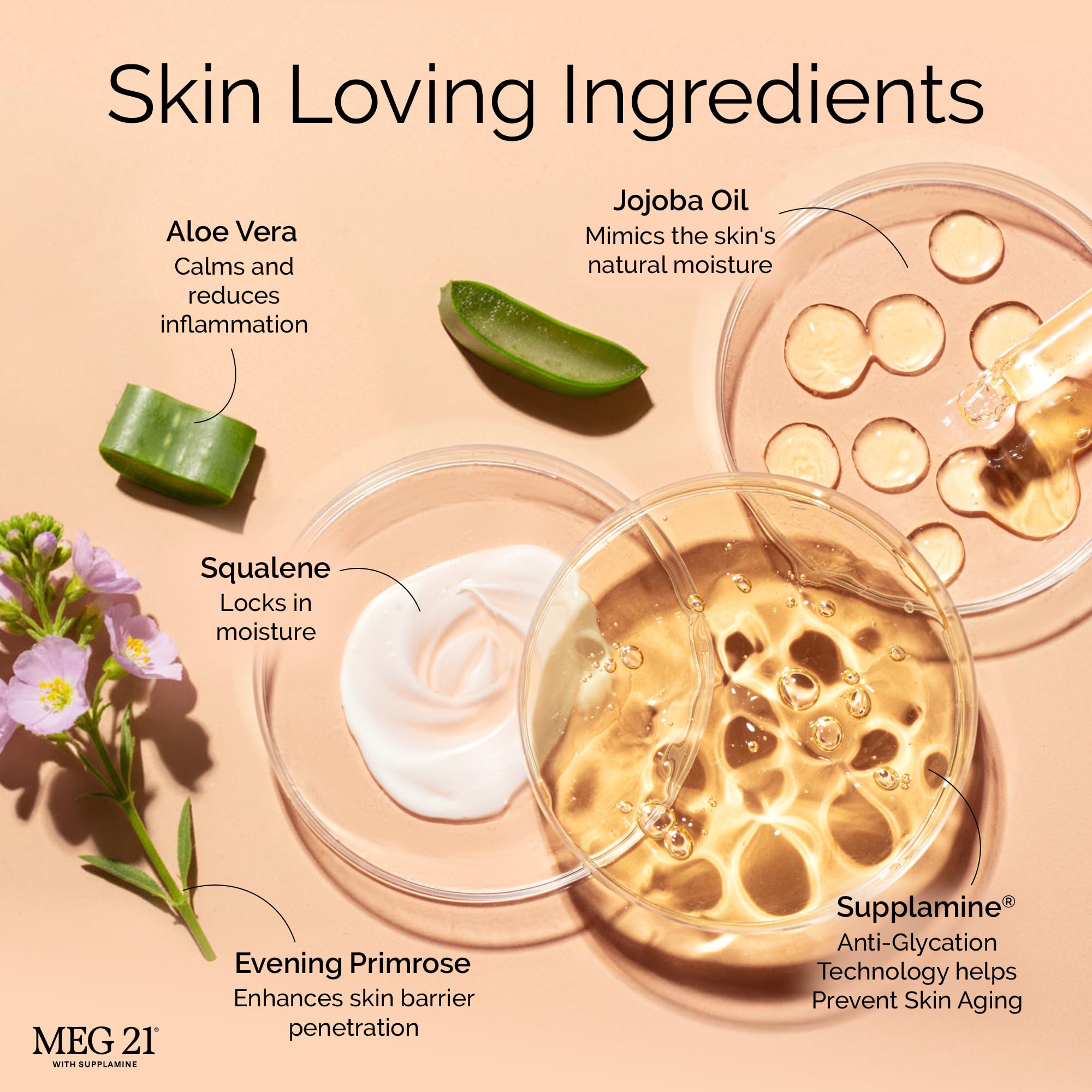 Amazon.com: MEG 21 Smooth Radiance Moisturizer Face Cream – Anti